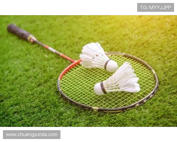 羽毛球竞技的魅力成都羽毛球队反击战术全解析