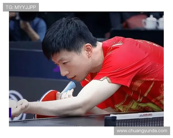 周启豪与马龙巅峰对决谁将成为乒乓球新一代王者的传奇之战