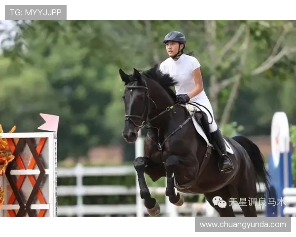 高校联赛积分榜更新TES战队以54分稳居榜首位置